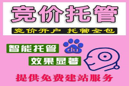 百度SEM优化案例：提升品牌知名度